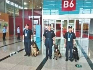 说明: //cjrb.cjn.cn/images/2020-01/09/10/%E5%9B%BE%E7%89%877_b.jpg